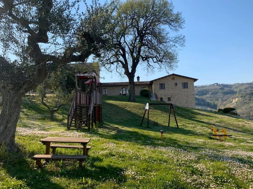 Photo of Others in Montedinove