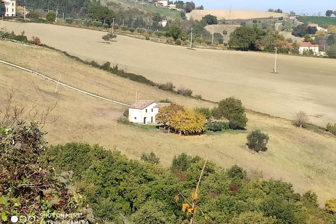 Photo of Others in Arcevia