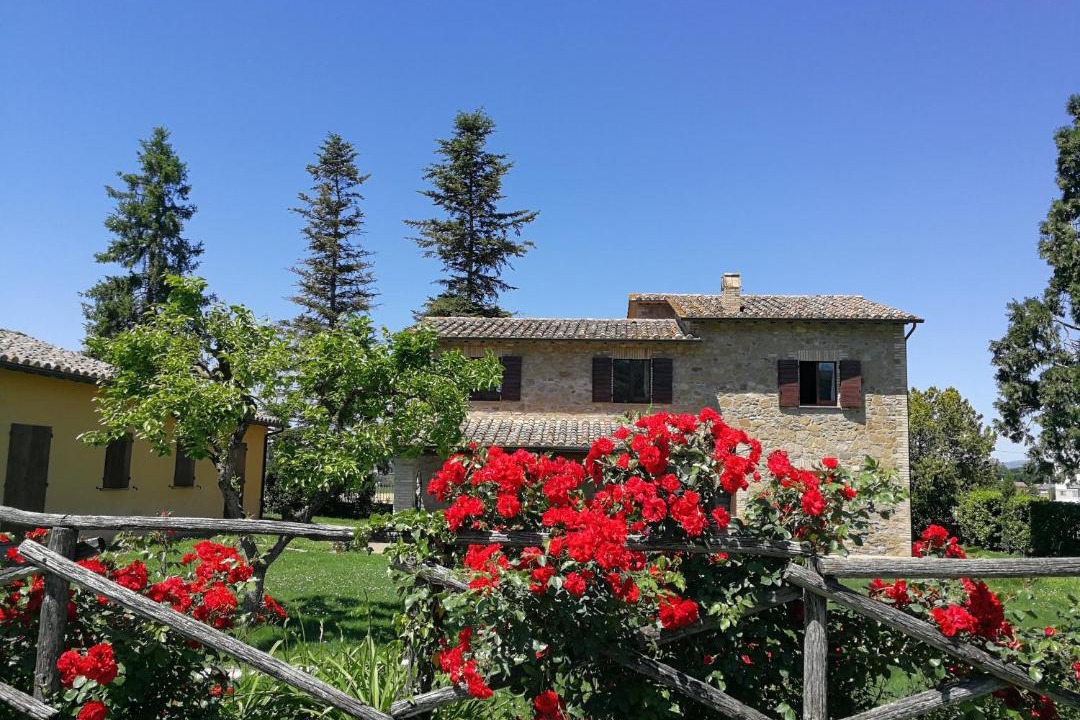 Photo of Others in Bettona