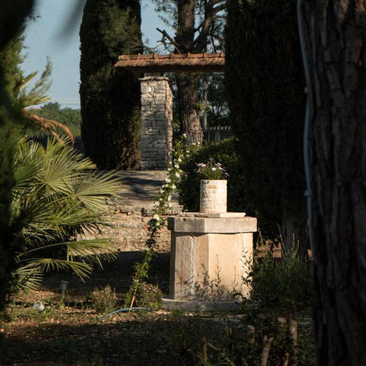 Photo of Others in Andria