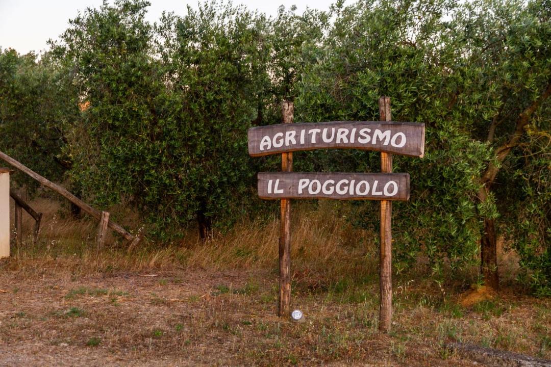 Photo of Others in Grosseto