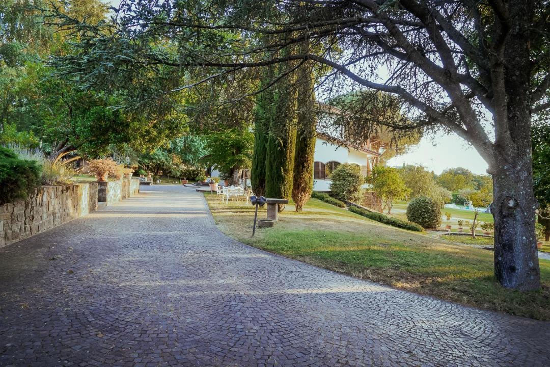 Photo of Others in Viterbo
