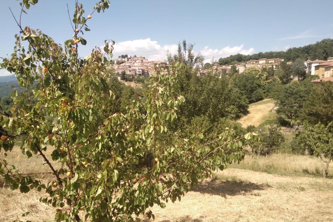 Photo of Others in Semproniano