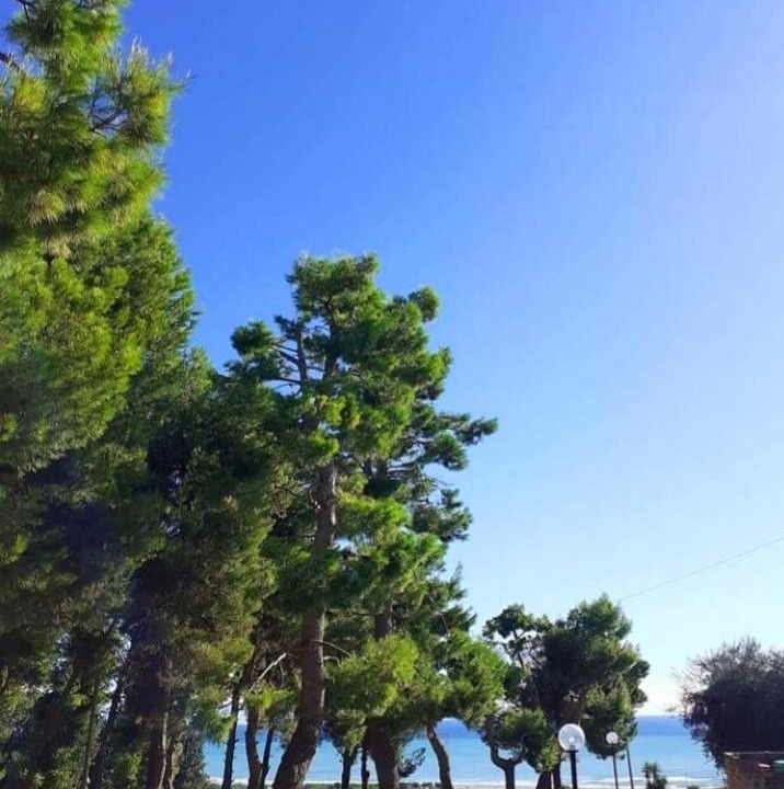 Photo of Others in Casabianca di Fermo