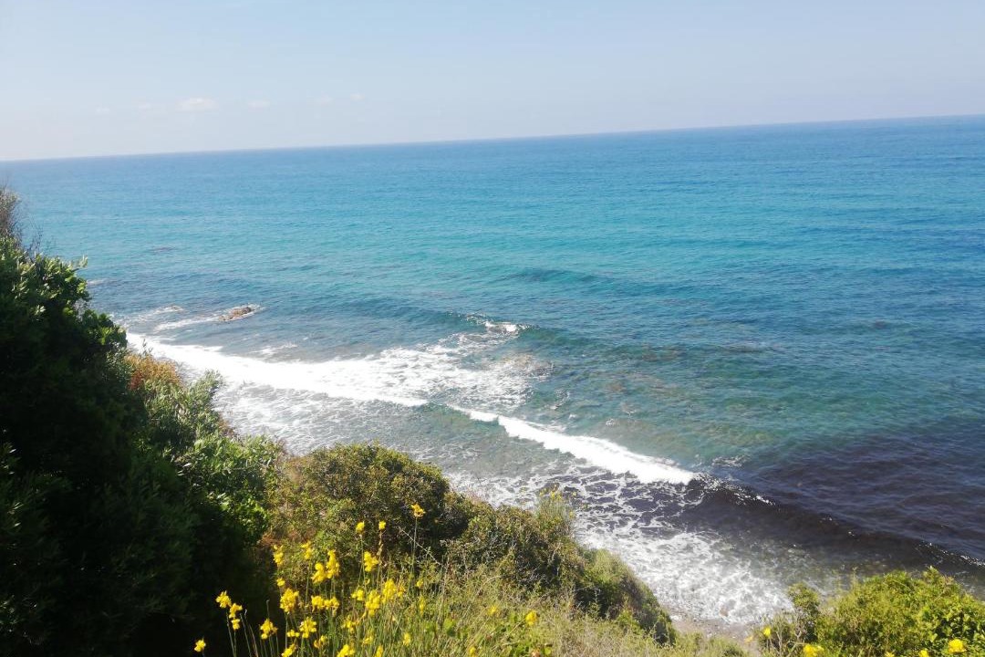 Photo of Outdoor in Caprioli