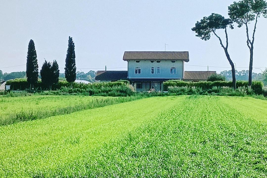 Photo of Others in Capaccio Scalo