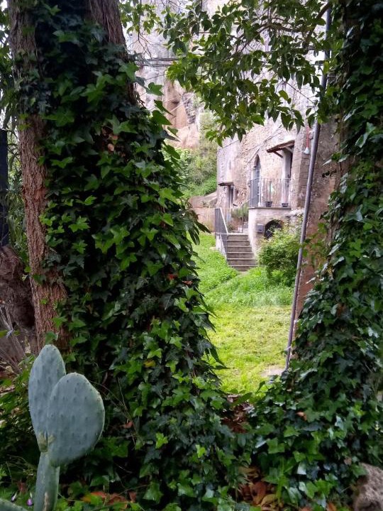 Photo of Others in Calcata Historic Town