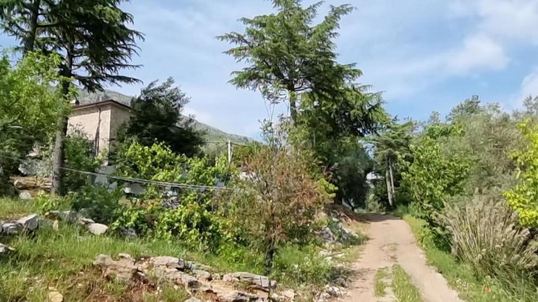 Photo of Others in Lenola