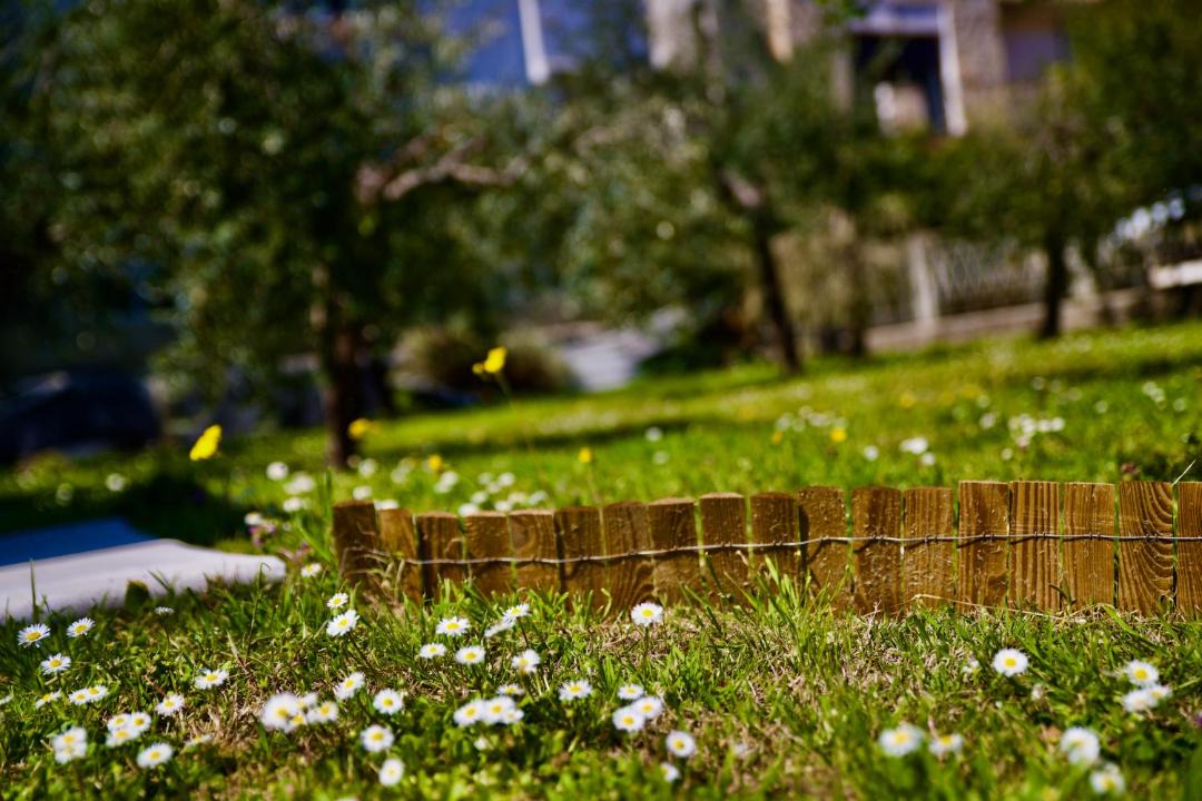 Photo of Others in Guardiagrele