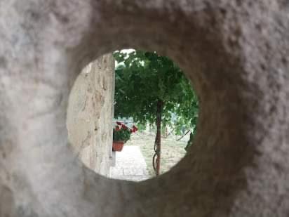 Photo of Others in Gesualdo