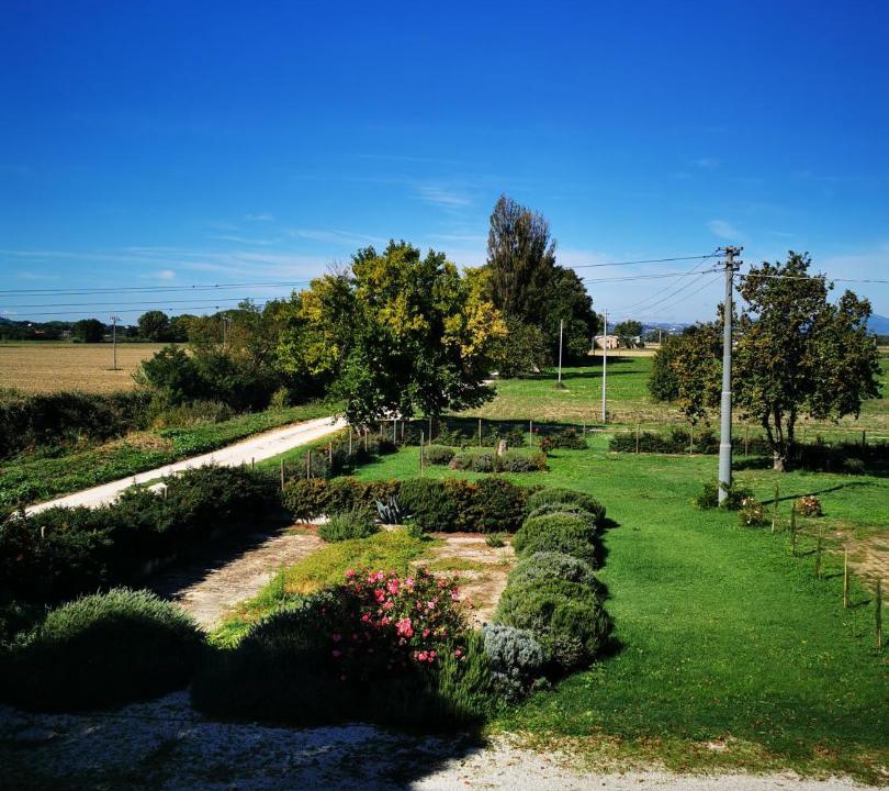Photo of Others in Cannara