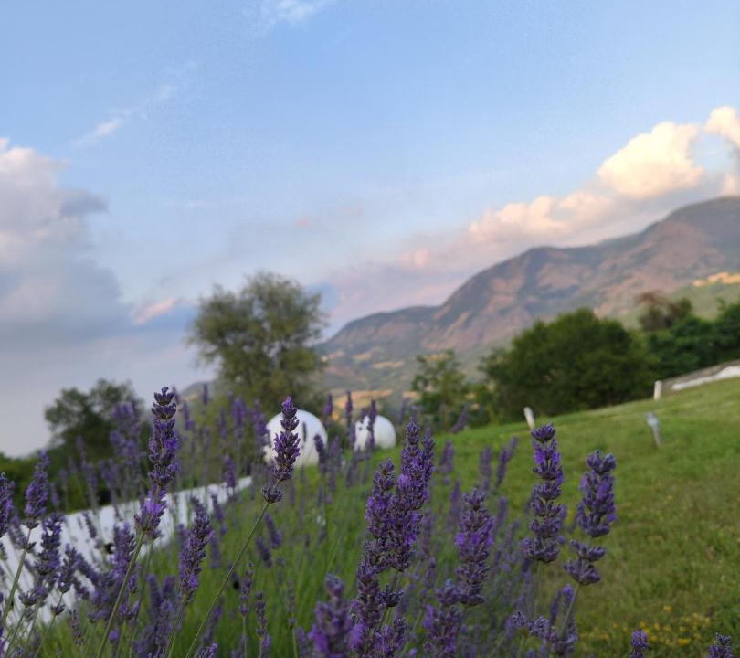 Photo of Others in Bobbio
