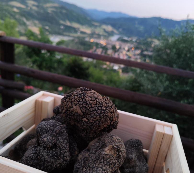 Photo of Others in Bobbio