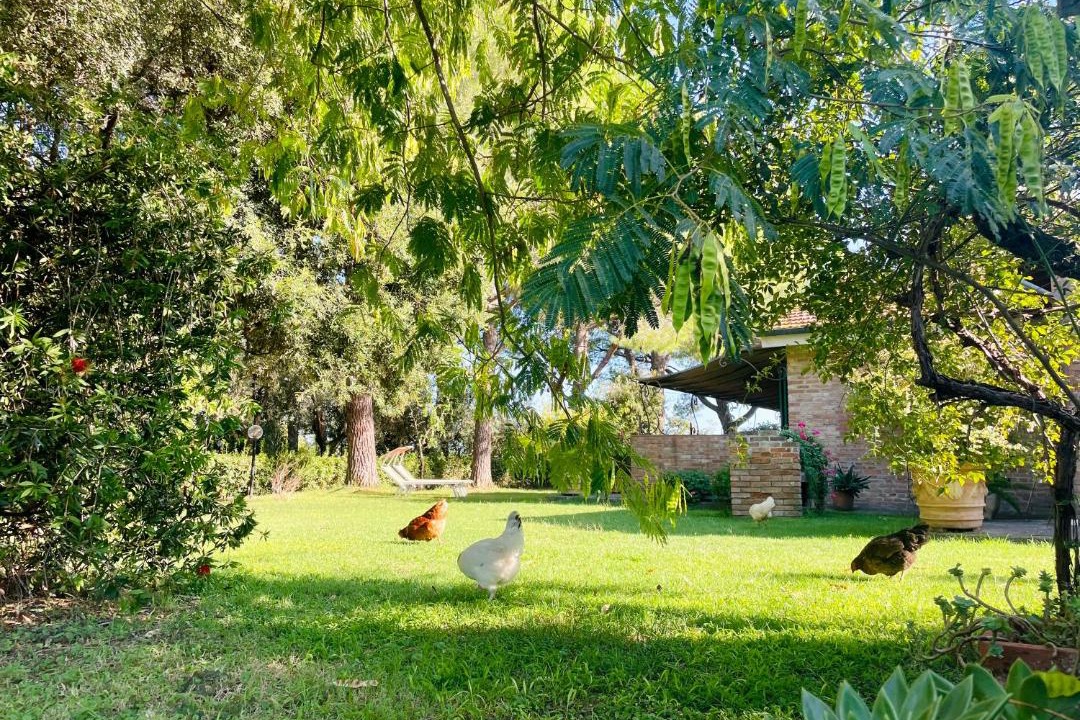 Photo of Others in Grosseto