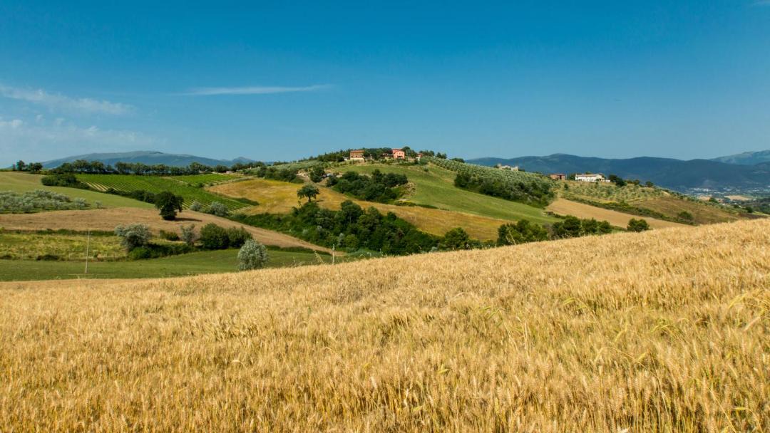 Photo of Others in San Brizio