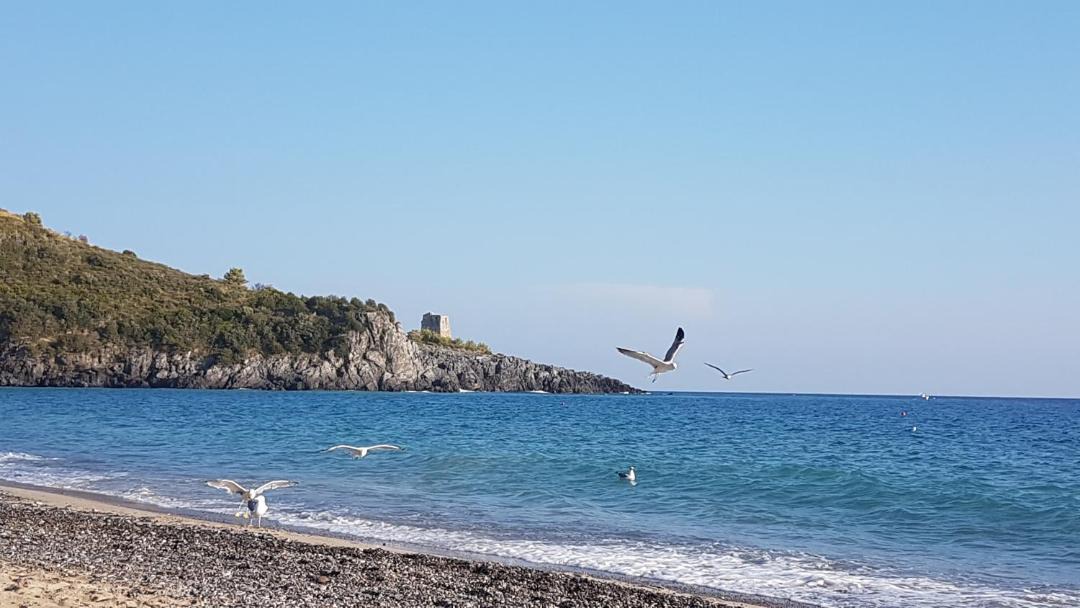 Photo of Others in Lentiscosa