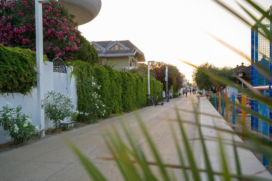 Photo of Others in Francavilla al Mare