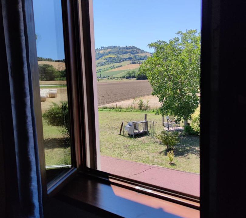 Photo of Others in Montelupone