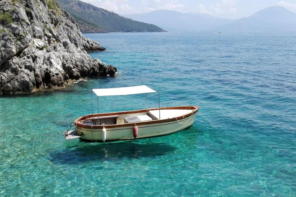 Photo of Others in Scario