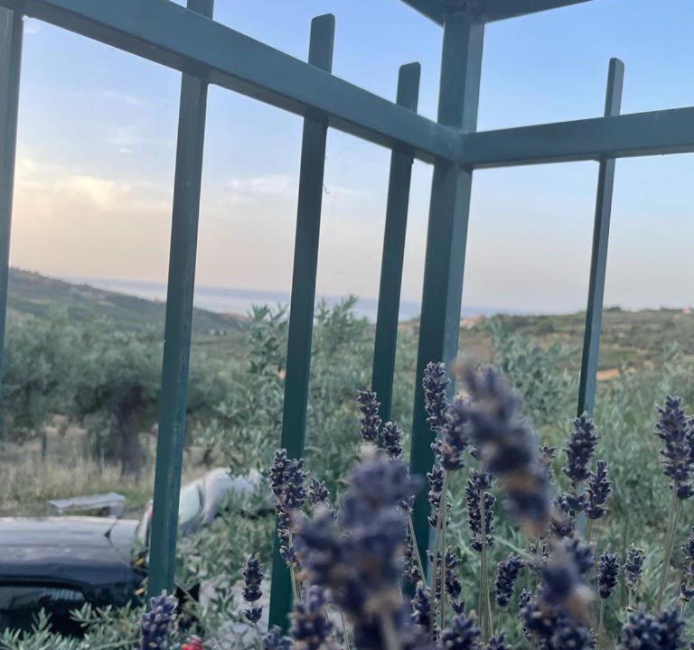 Photo of Others in Vasto