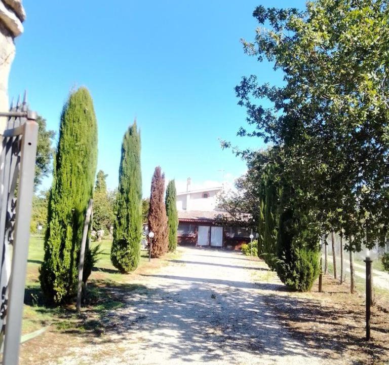 Photo of Others in Barbarano Romano