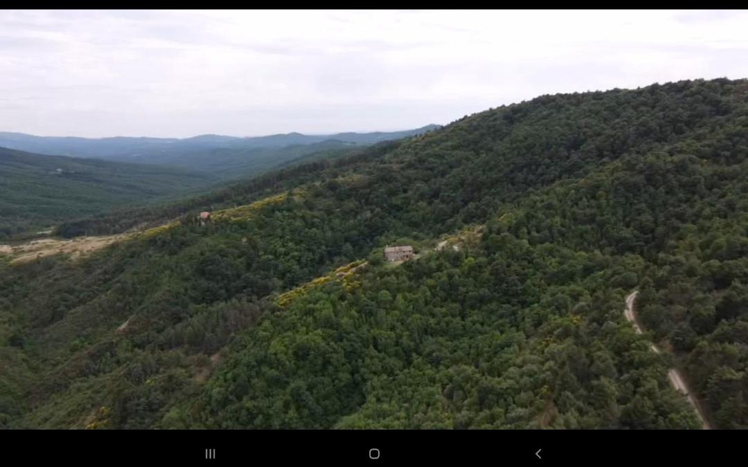 Photo of Others in Piegaro