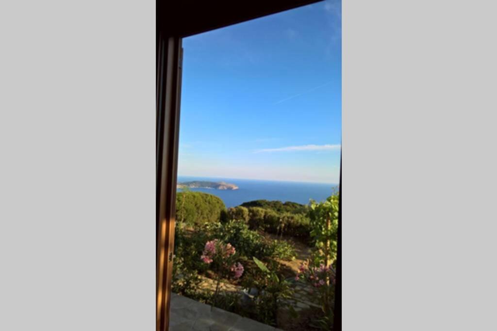 Photo of Others in Pisciotta