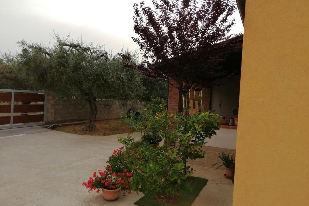 Photo of Others in Ortona
