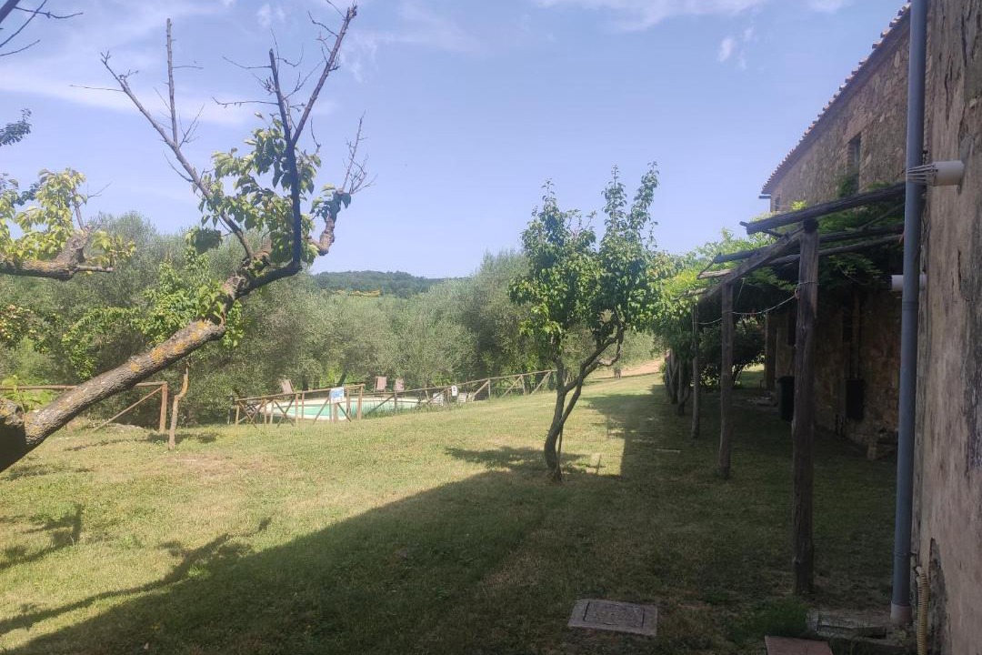 Photo of Others in Montalcino