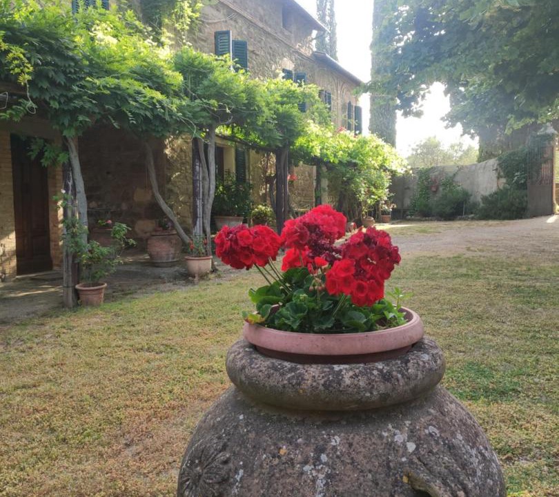 Photo of Others in Montalcino