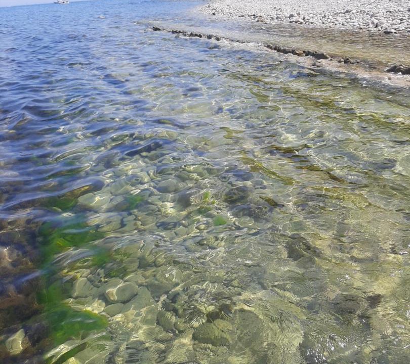 Photo of Outdoor in Pietra La Croce