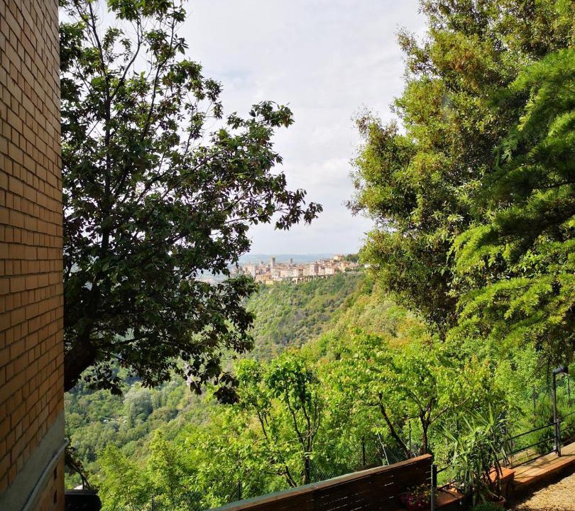 Photo of Others in Narni