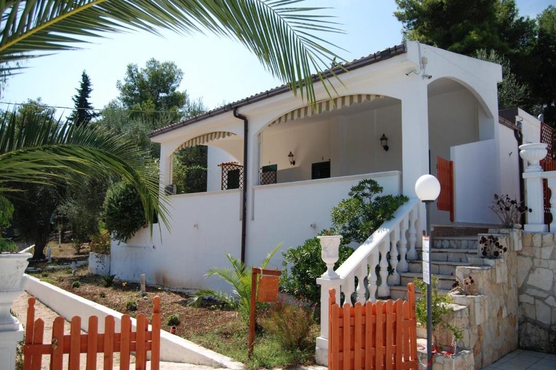 Photo of Others in Defensola