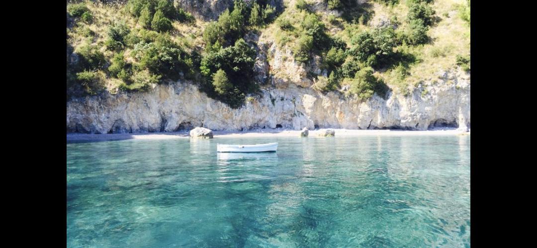 Photo of Others in Scario