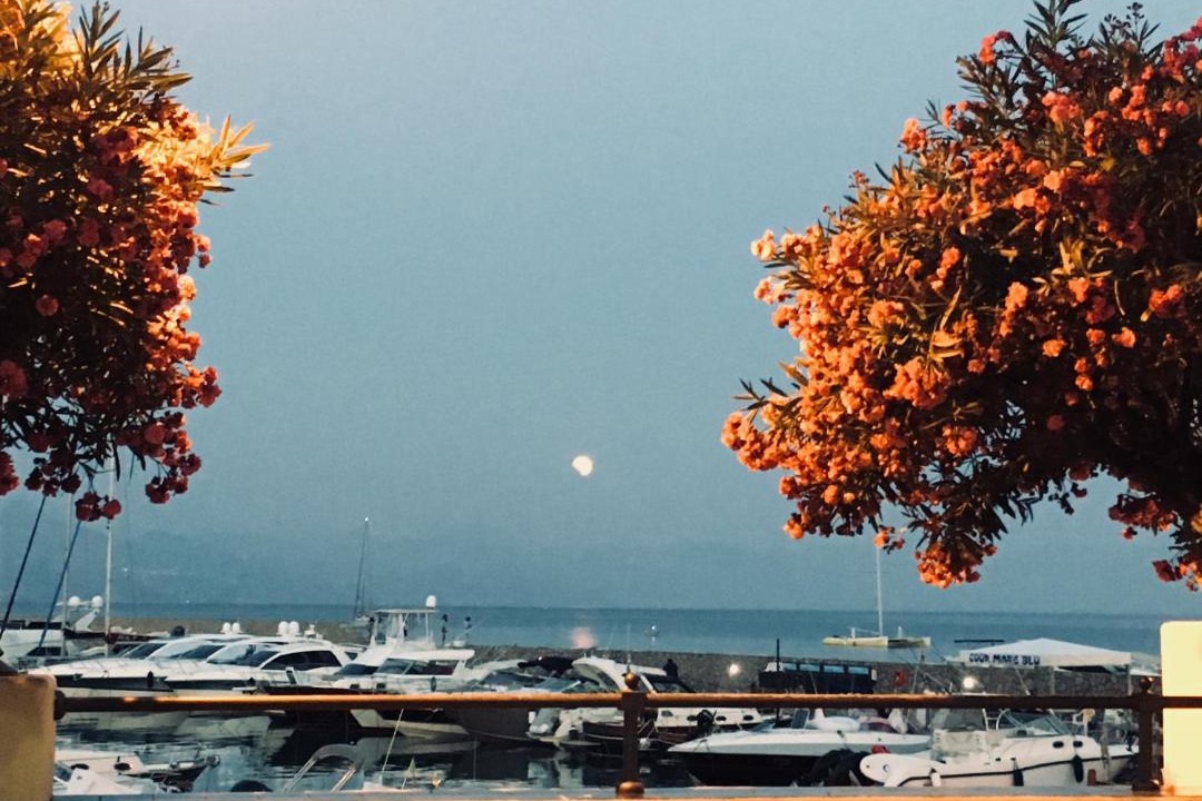 Photo of Others in Scario
