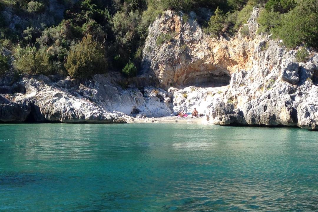 Photo of Others in Scario