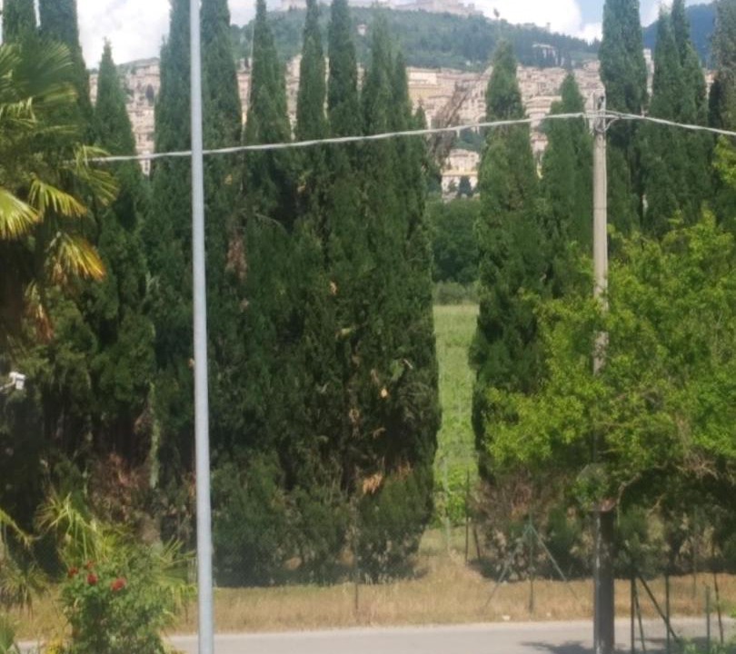 Photo of Others in Santa Maria degli Angeli