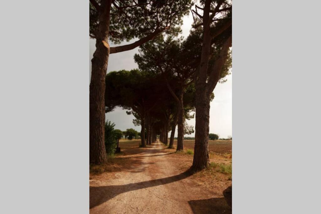 Photo of Others in Grosseto