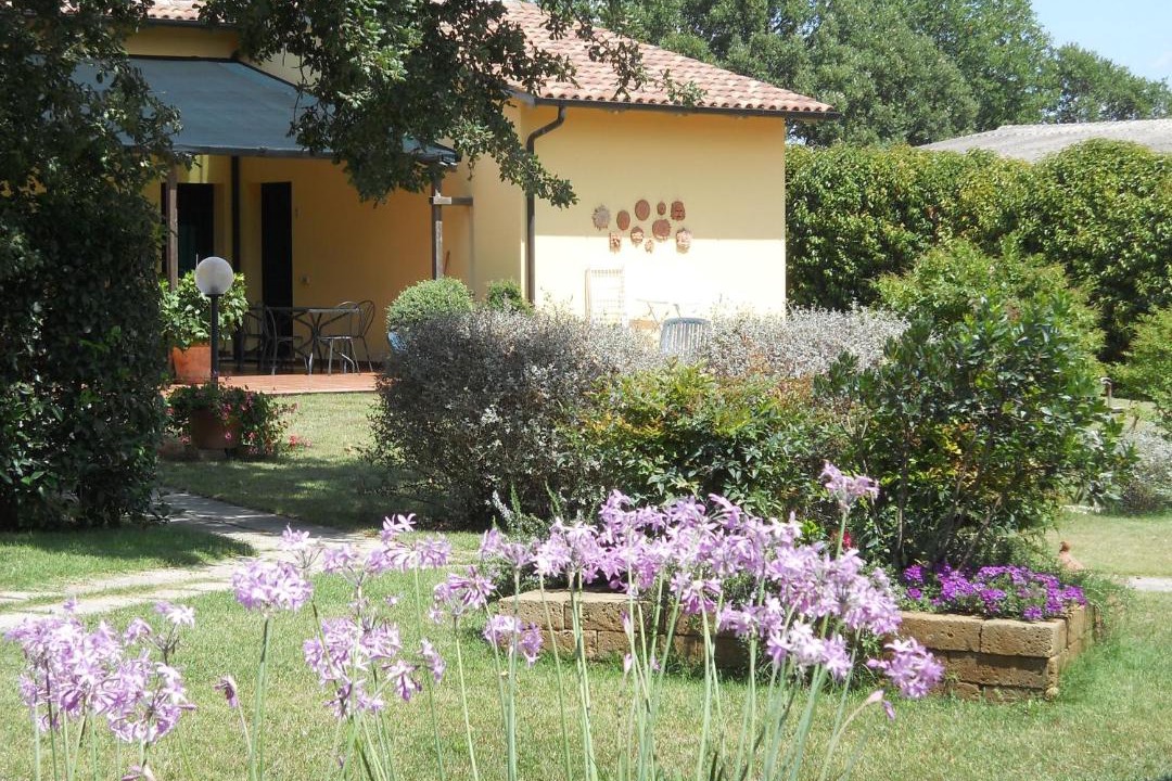 Photo of Others in Magliano in Toscana