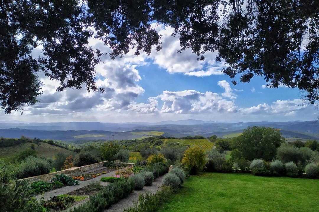 Photo of Others in Montalcino