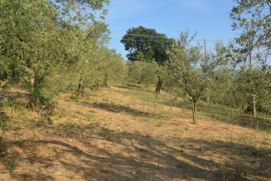 Photo of Outdoor in Gubbio