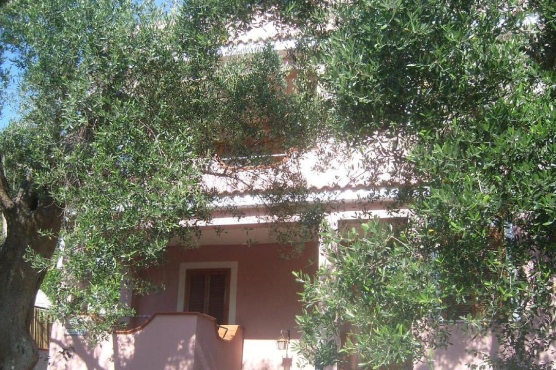 Photo of Buildings in Marina Di Camerota