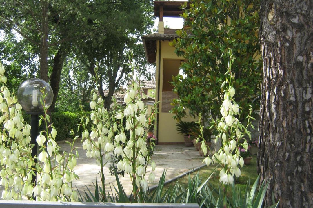 Photo of Others in Rivotorto