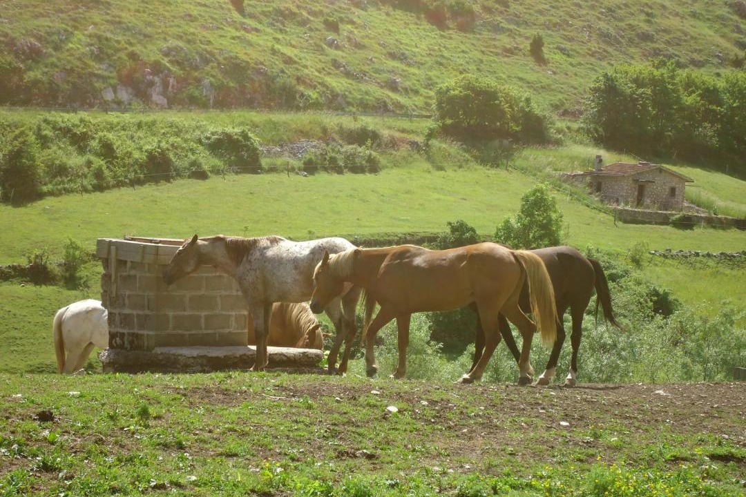 Photo of Others in Scanno