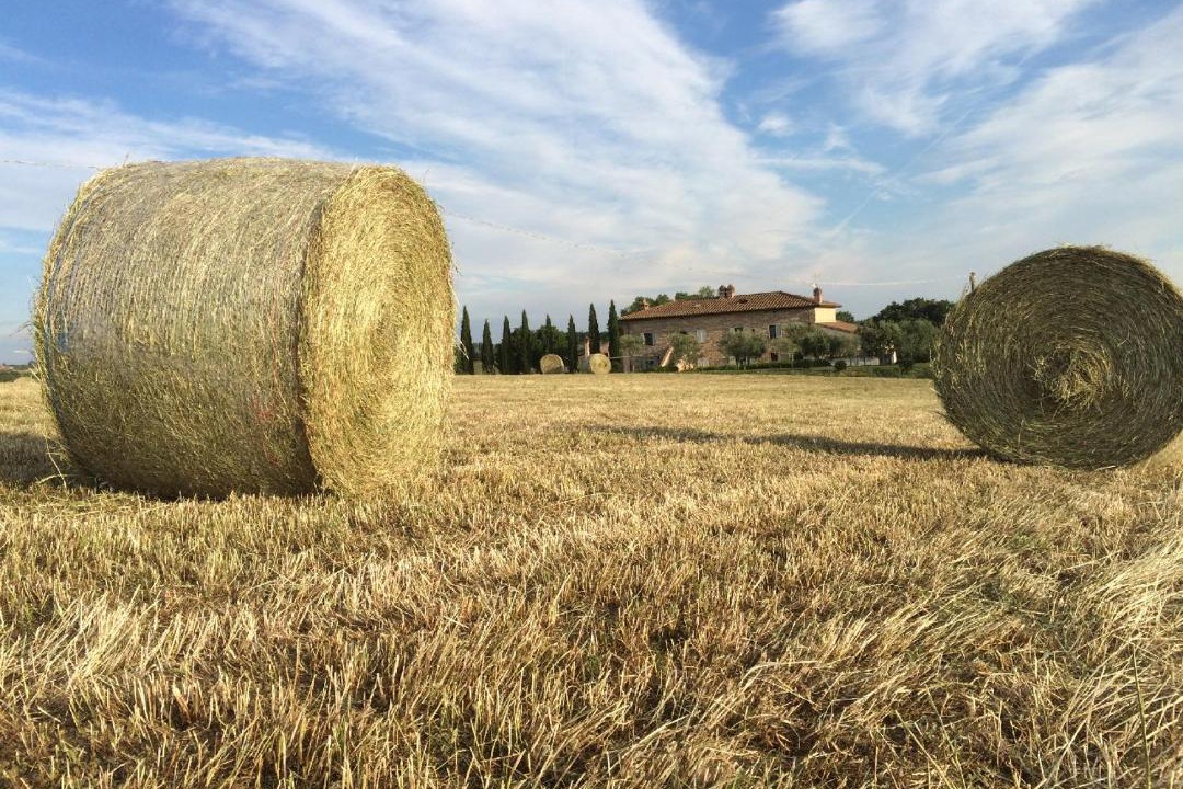 Photo of Others in Castiglione del Lago
