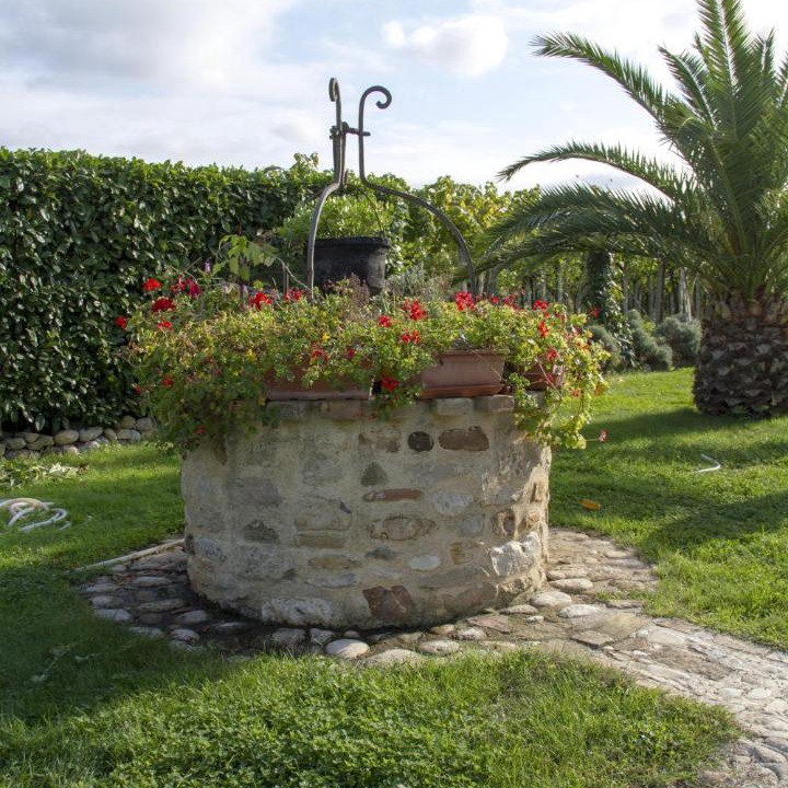 Photo of Others in Arielli
