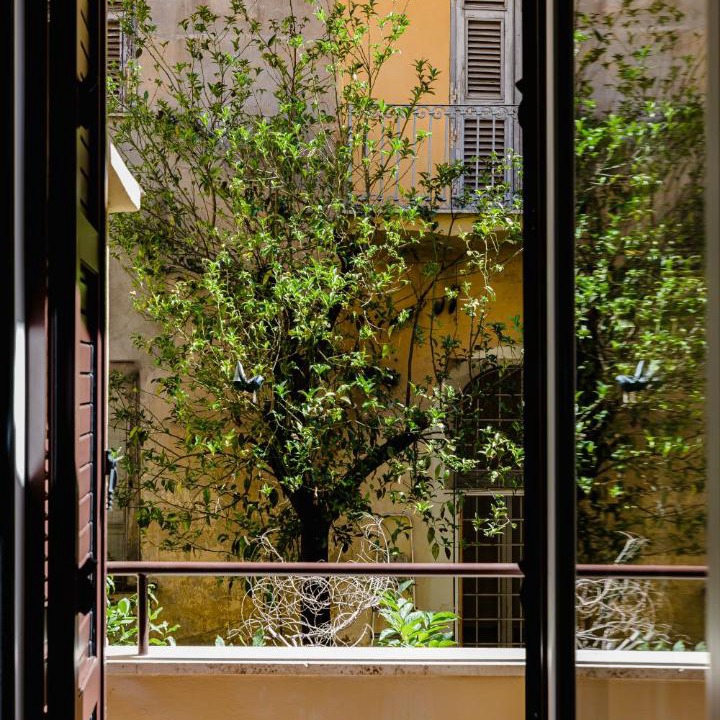 Photo of Others in Rome City Centre