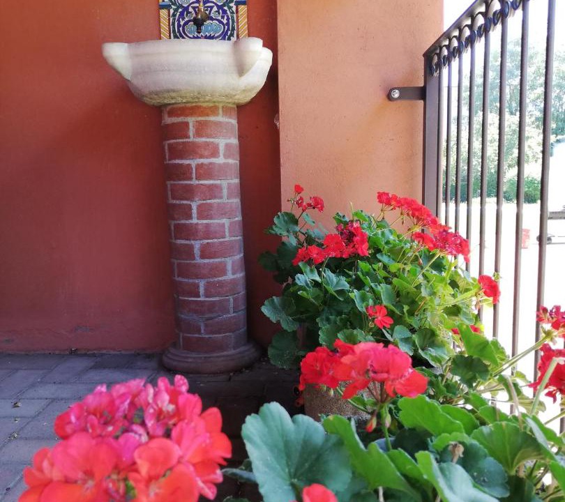 Photo of Others in Pavia