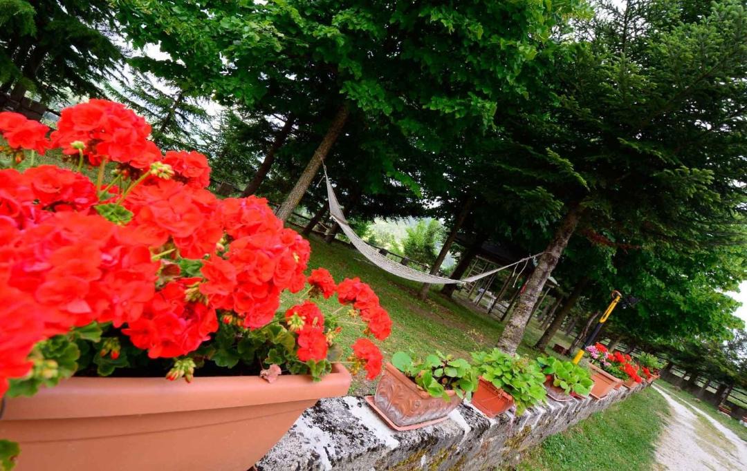 Photo of Others in Castel di Sangro