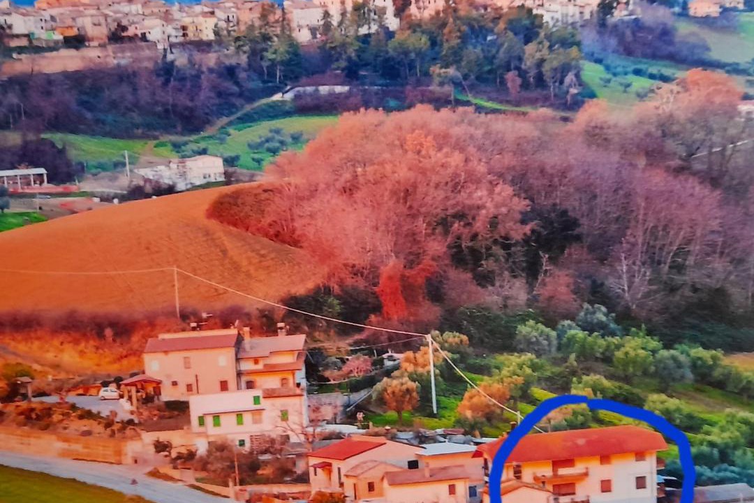Photo of Others in Bellante